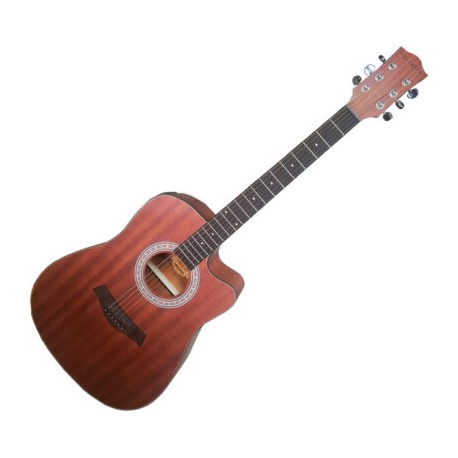 GUITARRA ELECTROCUSTICA (infinity)